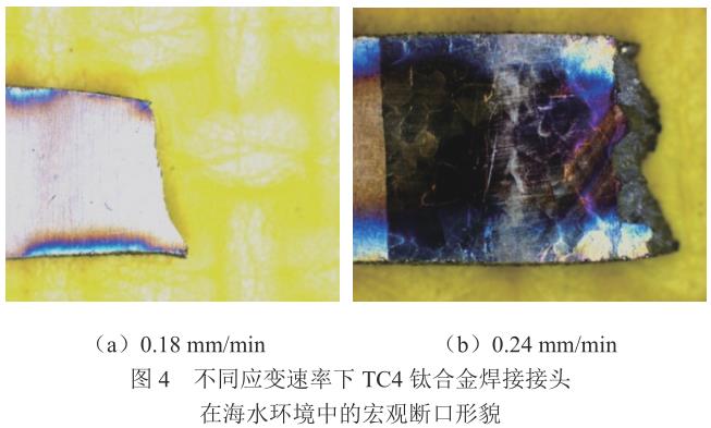 1713094138264704.jpg 360截图1653071090125130.jpg