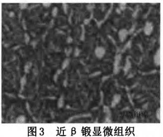 1713134678200472.jpg 360截图16630506282620.jpg
