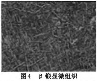 1713134686344324.jpg 360截图16300428545563.jpg