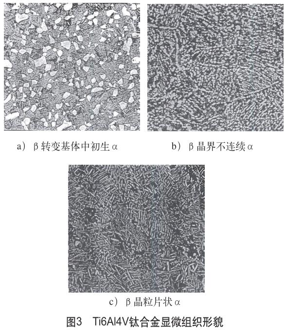 1721386288967489.jpg 360截图16320212535789.jpg