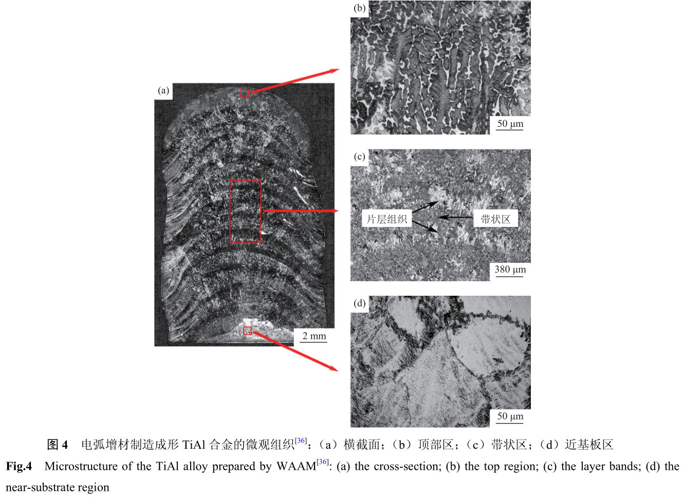 1721463989495249.jpg 未标题-2.jpg