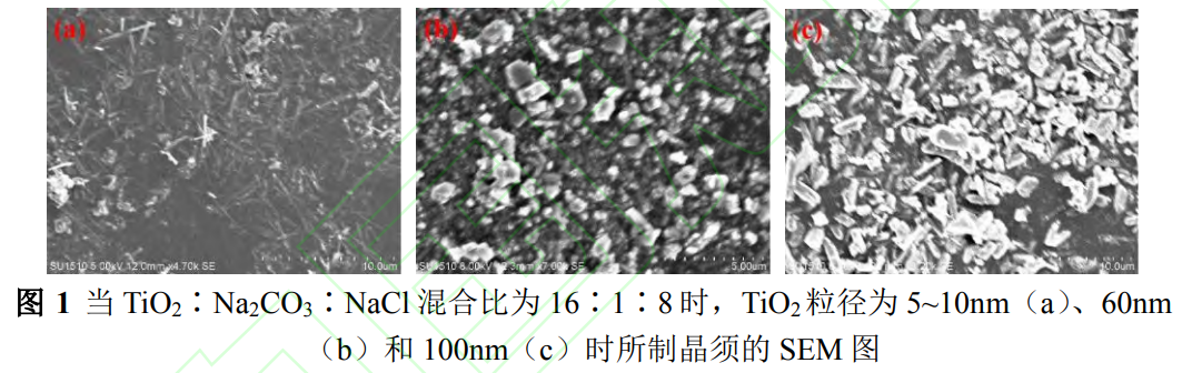 1736090362491779.png 截图20250105231648.png