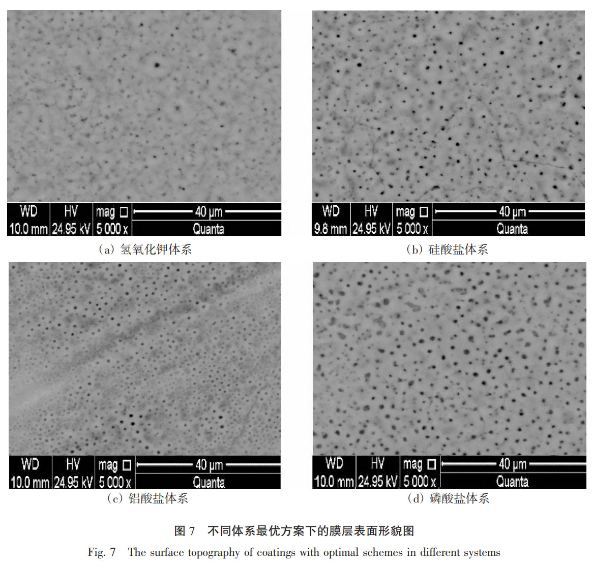 1758080070766177.jpg 未标题-9.jpg
