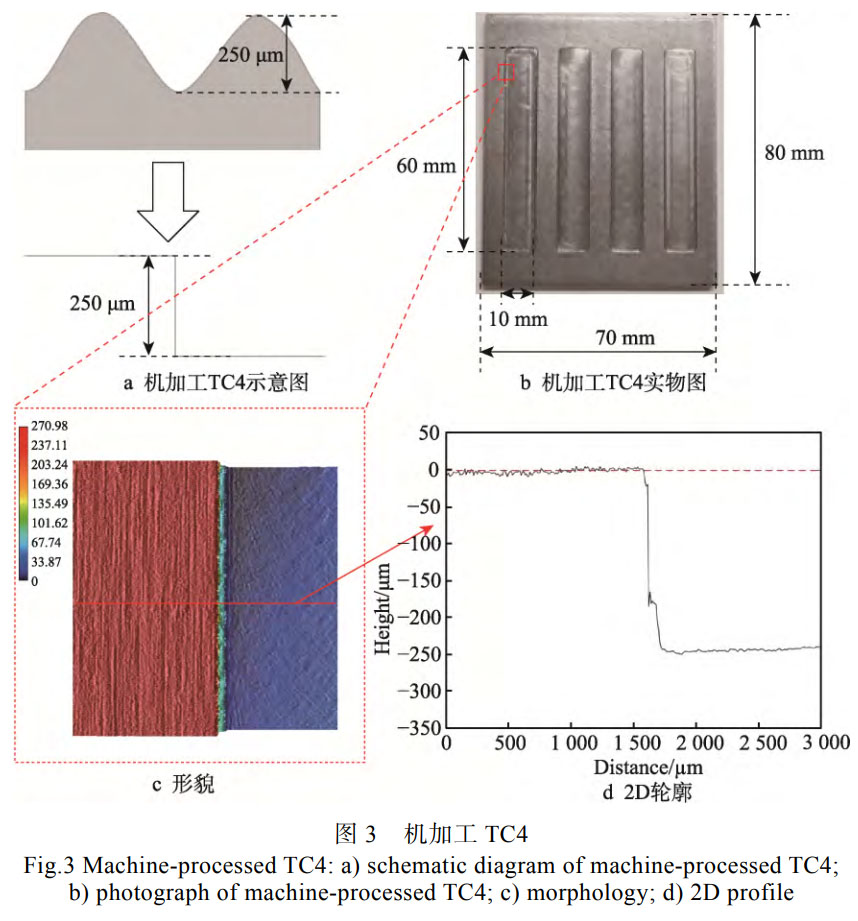 1759318604230582.jpg 未标题-1.jpg