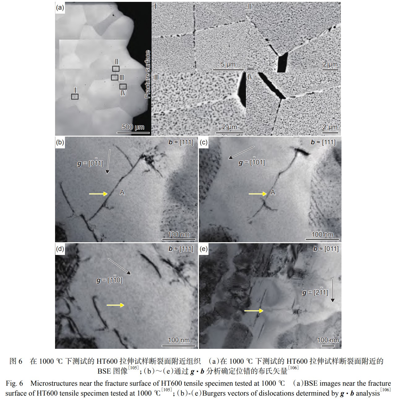 1763885362898777.jpg 未标题-7.jpg