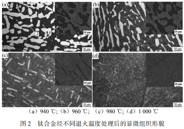 1763901363587025.png 截图20251123203404.png