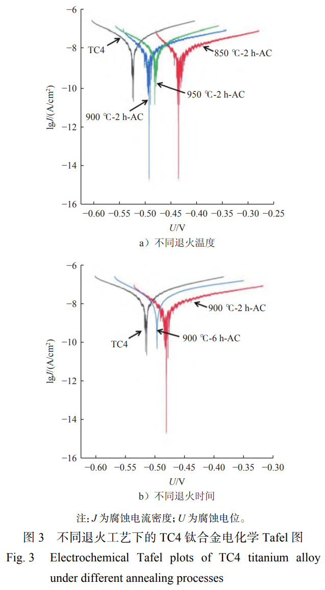 1763905350603973.jpg 未标题-1.jpg