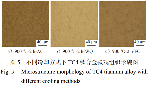 1763905479655758.png 截图20251123212715.png