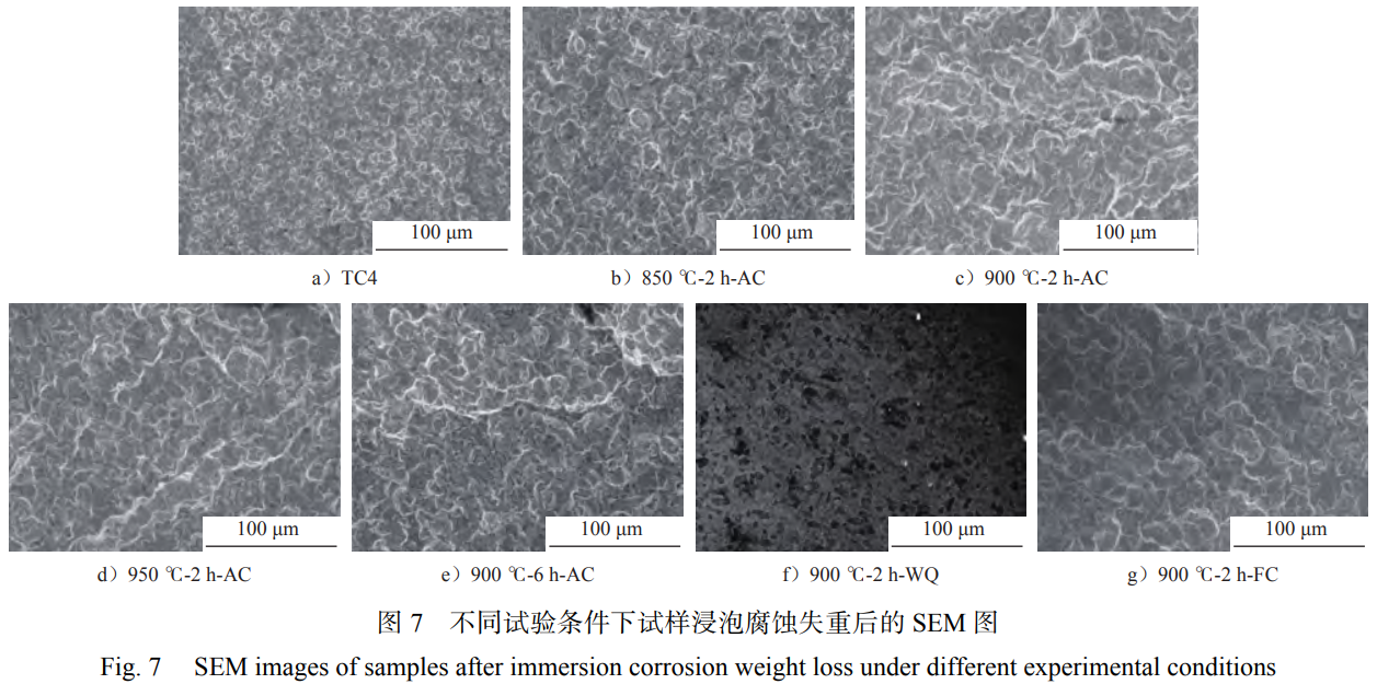 1763905523238167.png 截图20251123212804.png