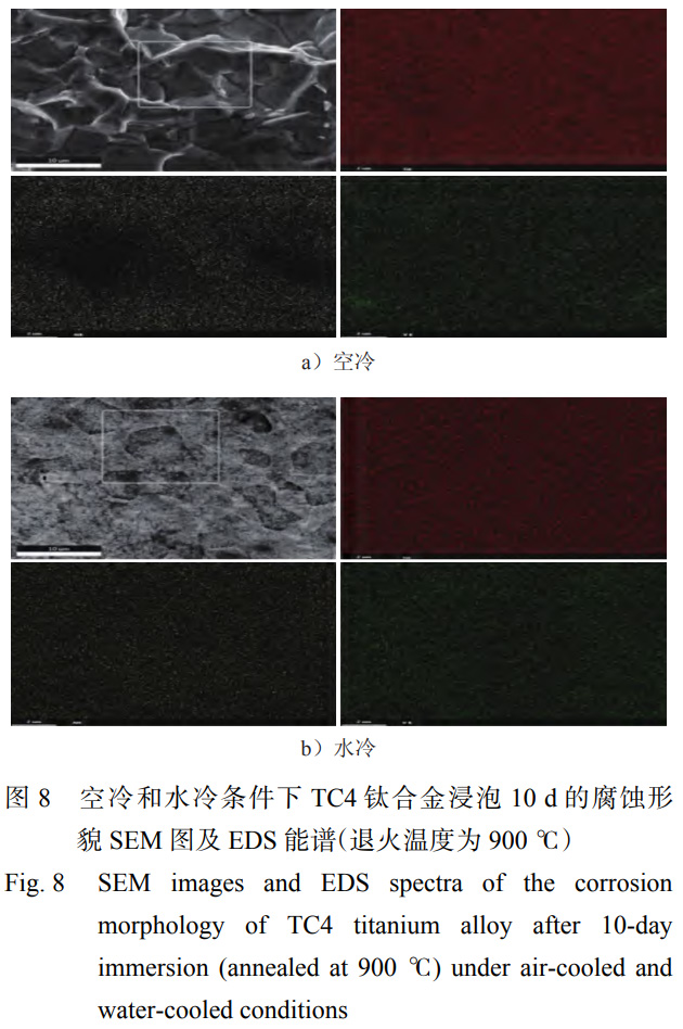 1763905539159085.jpg 未标题-3.jpg