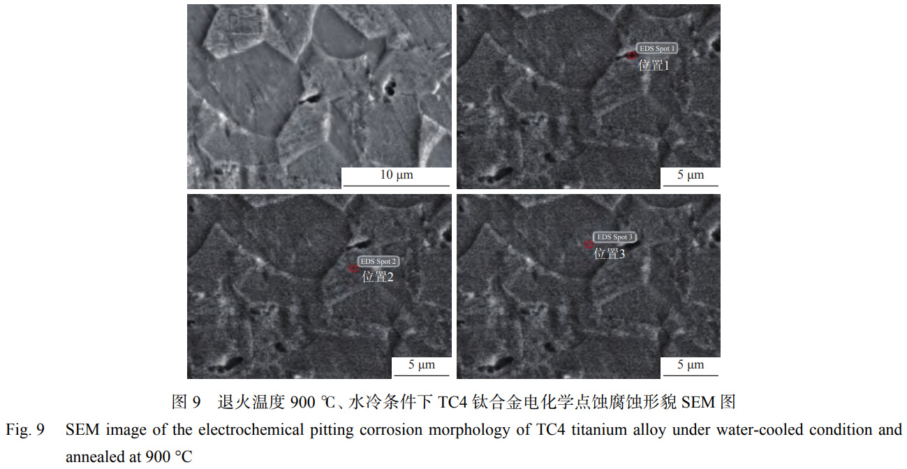1763905564555020.jpg 未标题-4.jpg