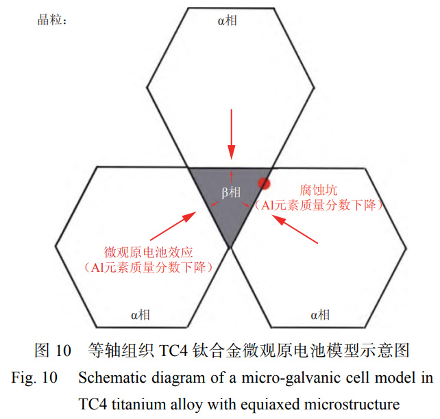1763905578910204.jpg 未标题-5.jpg