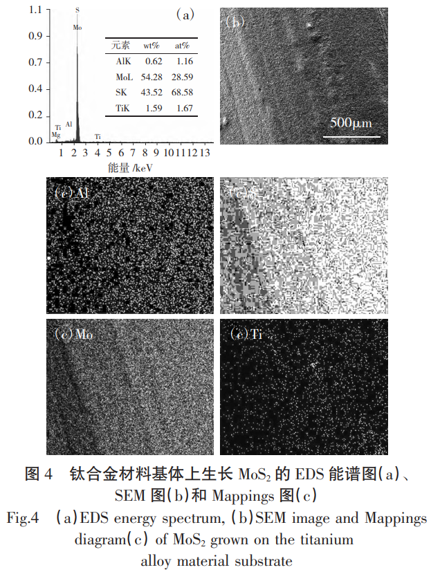 1763948693209676.png 截图20251124094045.png