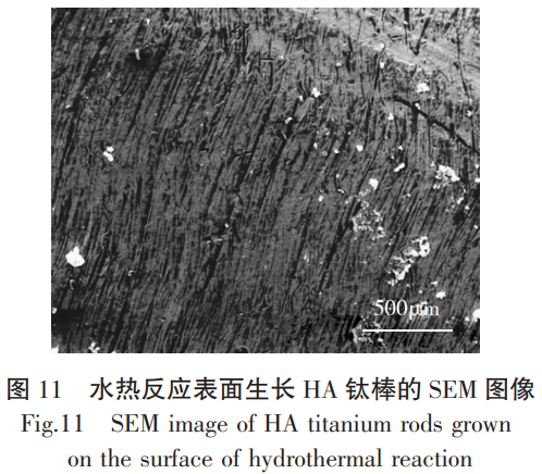 1763948778252348.png 截图20251124094301.png