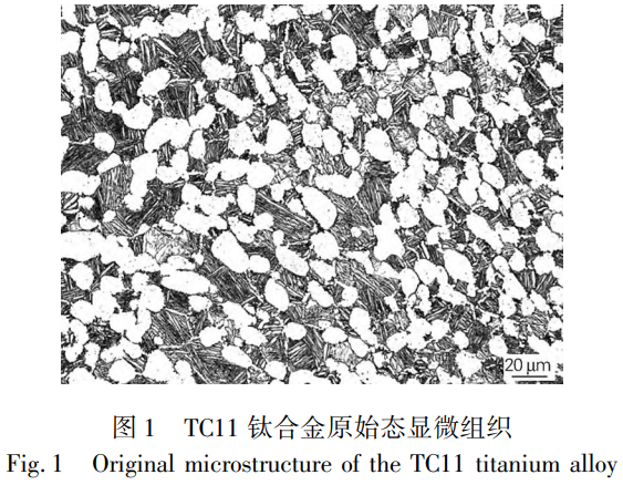 1763972563628155.png 截图20251124162044.png