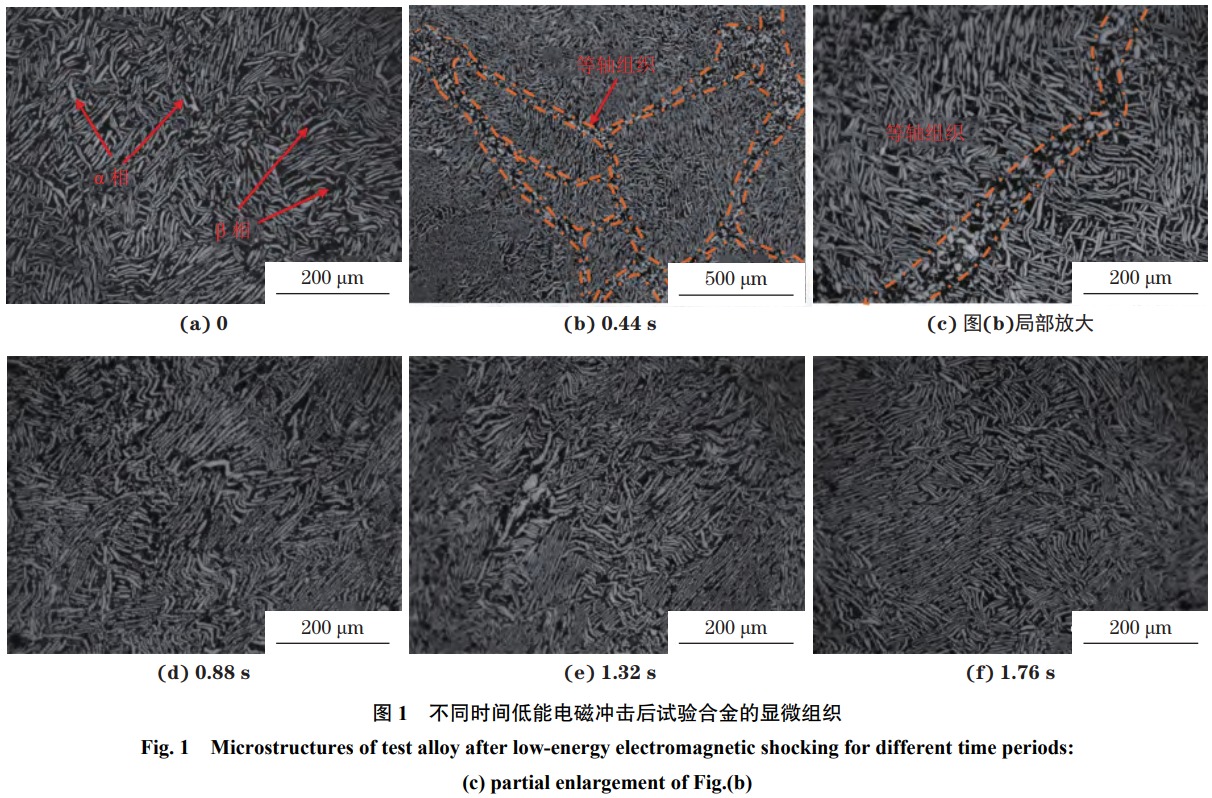 1765507051175580.png 截图20251212103446.png