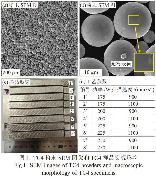 1768223033521756.png 截图20260112205502.png