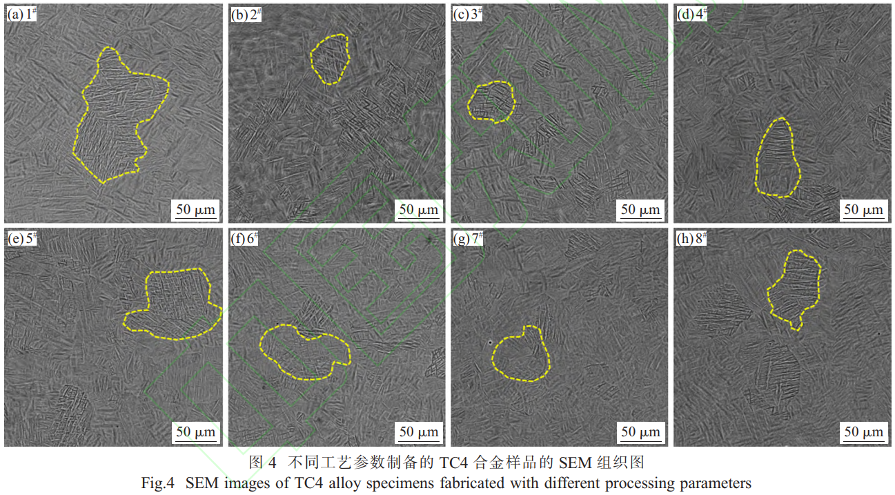 1768223095794461.png 截图20260112205608.png