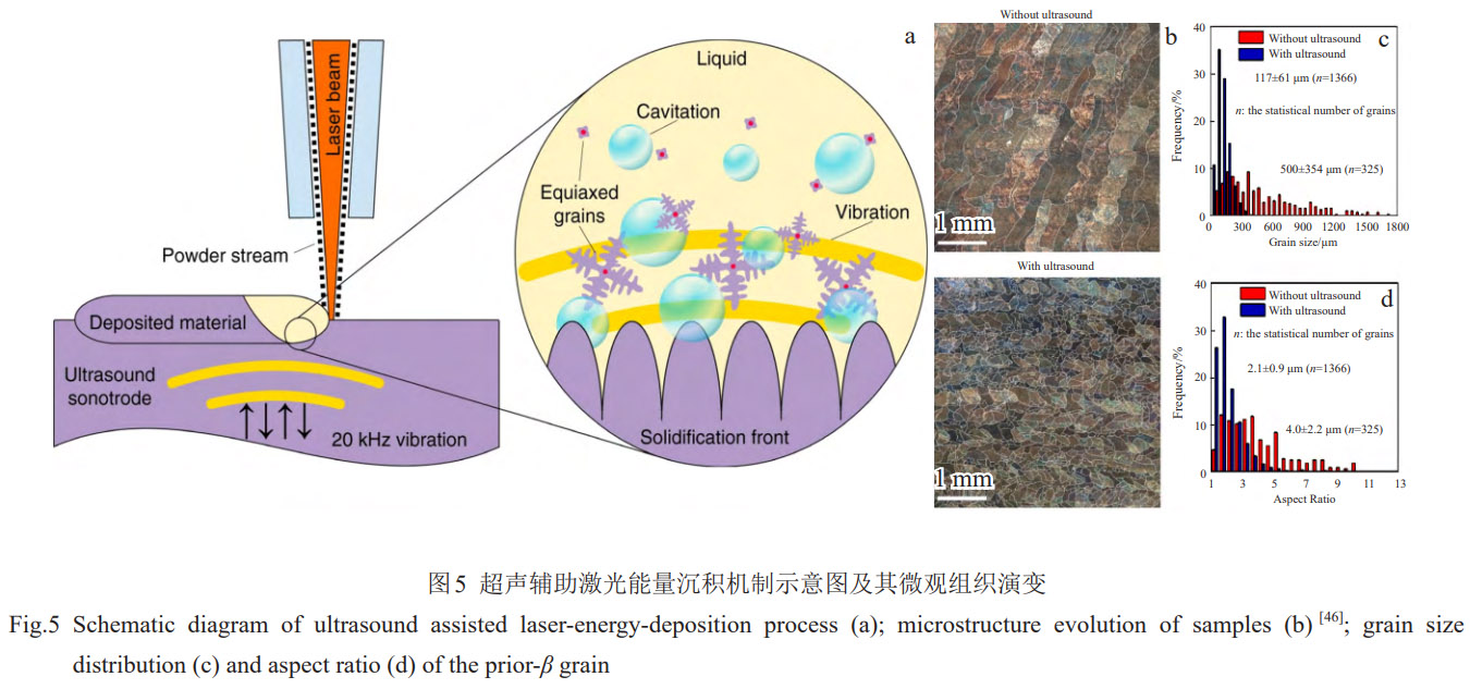 1774919606417987.jpg 5.jpg