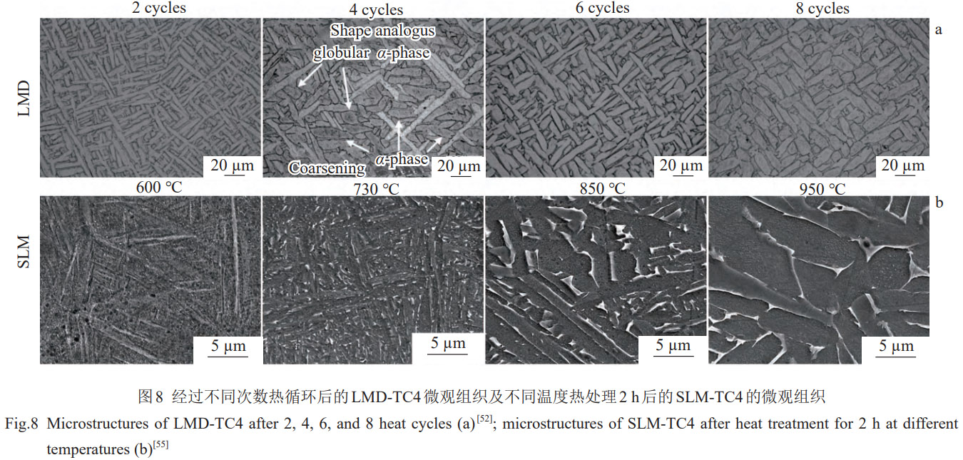 1774919633694953.jpg 8.jpg