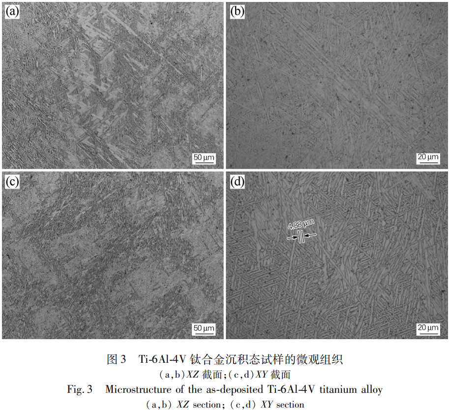 1776156602587973.png 3.png