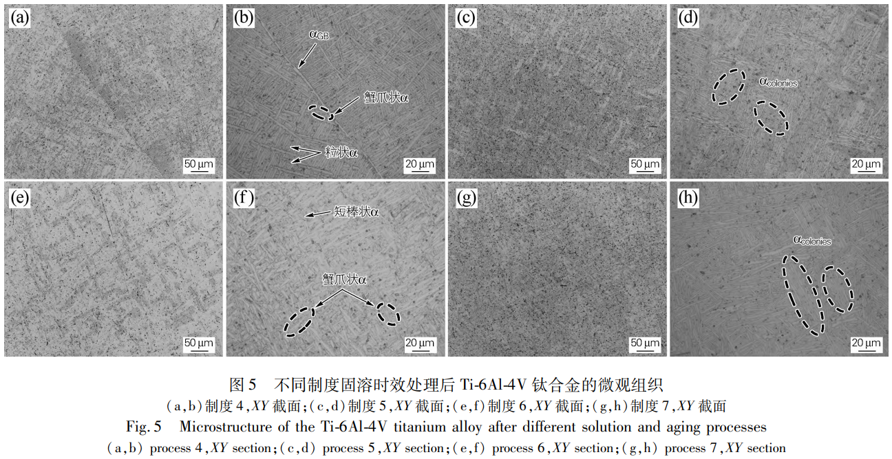 1776156620520149.png 5.png