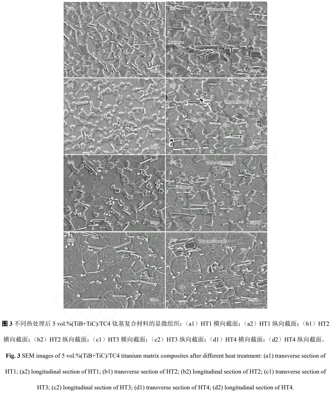 1783933849530020.jpg 3.jpg