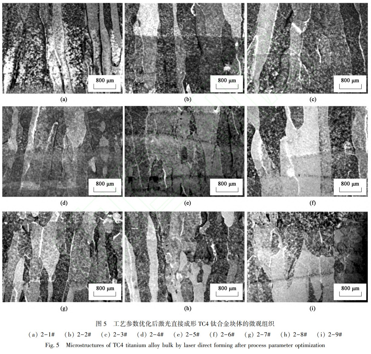 1785315452218630.jpg 5.jpg